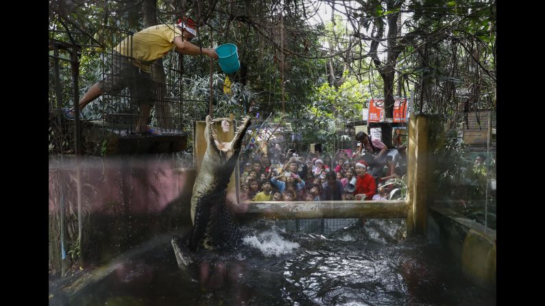 A zoo staff member feeds crocodiles as visitors look on at the Malabon Zoo in Malabon, Philippines, on Thursday, December 21. Owner Manny Tangco -- bottom right, holding a megaphone and wearing a Santa Claus hat -- held a Christmas event at the zoo and gave select visitors a tour ahead of the holidays.