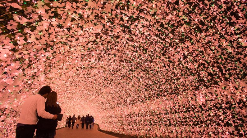 <strong>Sakura-themed light tunnel: </strong>This year's tunnel light display mimics sakura, depicting different stages of cherry blossom growth.    