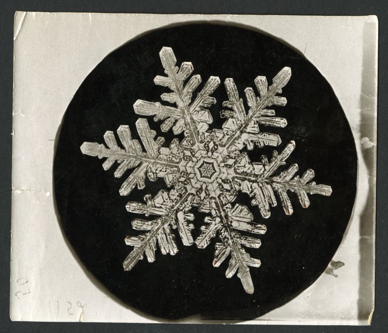 How history's first photos of snowflakes were made | CNN