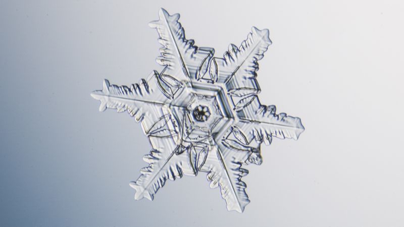 What does snowflake mean? – The Sun