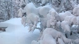 erie pennsylvania snow storm 1226