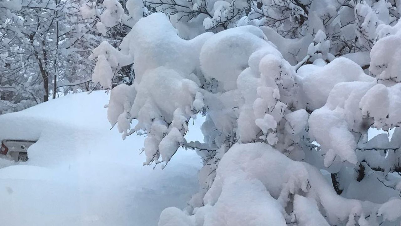 Kara Murphy of Millcreek Township, Pennsylvania said the snow blanketed her in-laws' car on Tuesday morning.