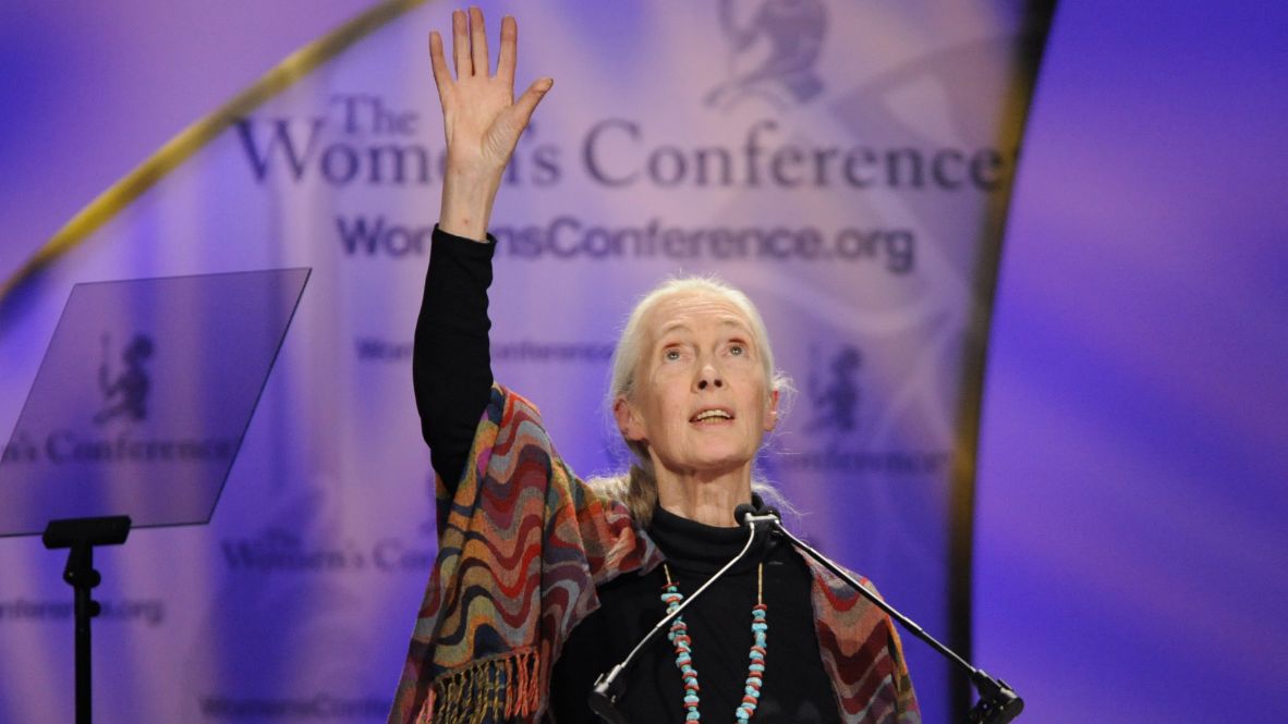 Goodall accepts a Minerva Award at the Women's Conference in Long Beach, Califonia, in 2009.
