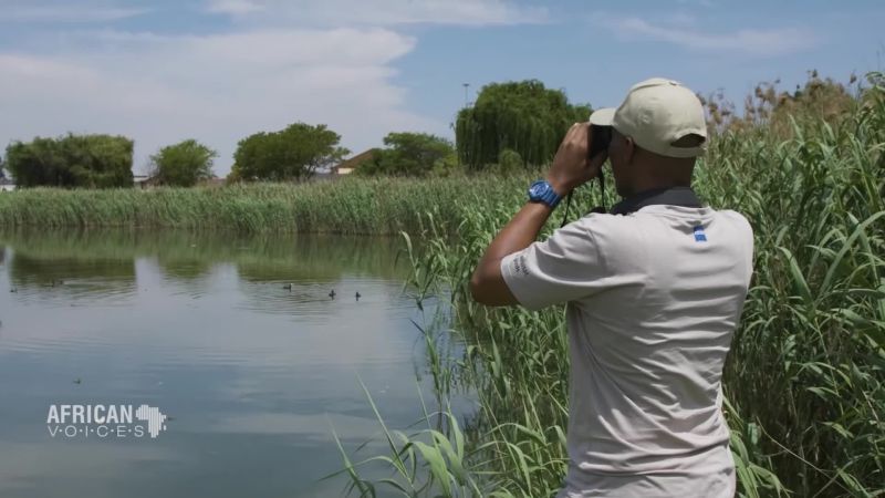 Bird spotting in South Africa | CNN