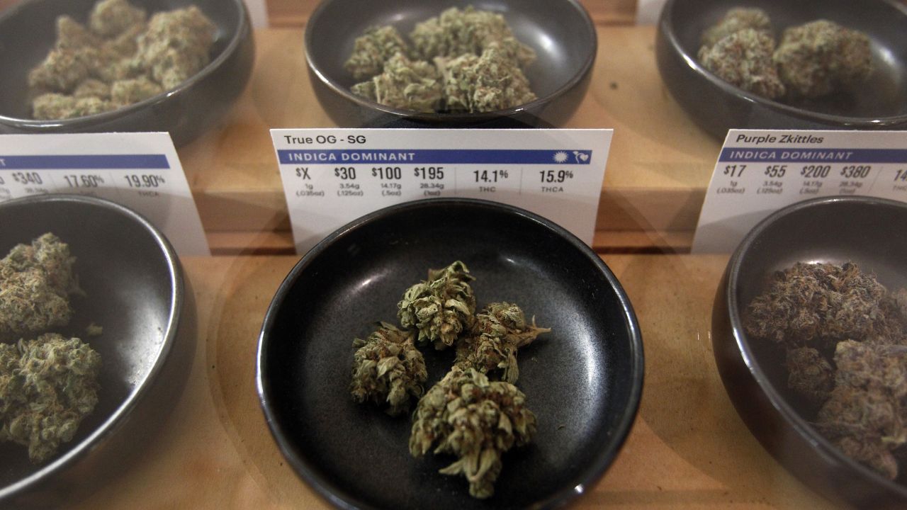 Different types of marijuana sit on display at Harborside  dispensary.