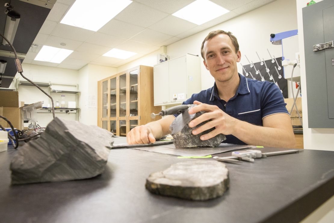 Gulbranson studies tree rings for clues about how these trees grew in polar ecosystems.