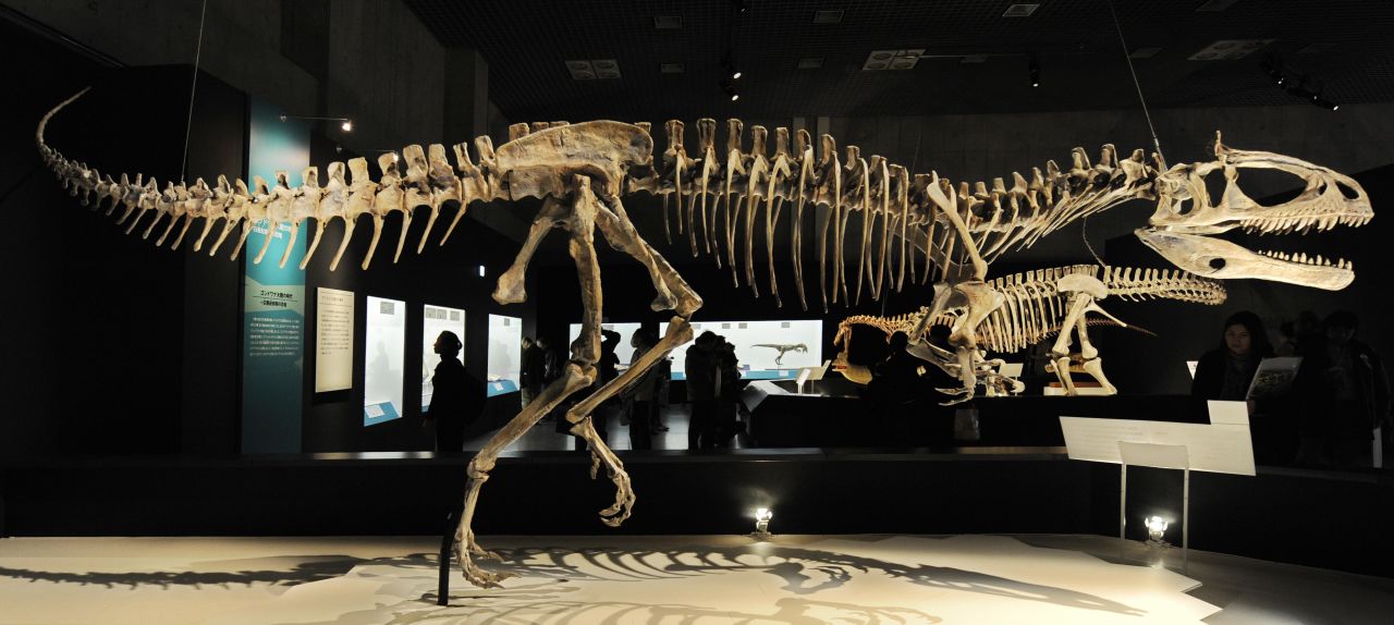 The very first dinosaur remains were discovered in the Antarctic region in 1986, followed four years later by the discovery of the first carnivorous dinosaur in Antarctica -- the Cryolophosaurus Ellioti. Measuring 21.3 feet and weighing 1,025 pounds, the Cryolophosaurus Ellioti (pictured) was one of the largest theropods of its time.<br />