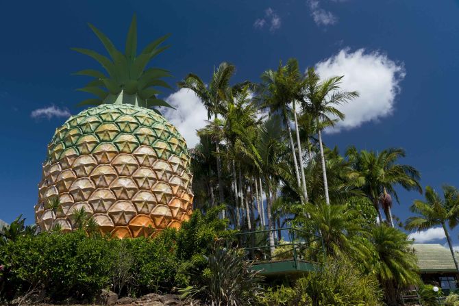 Opened in 1971, the Big Pineapple is a tourist attraction on the Sunshine Coast in Queensland, which explains the process of pineapple farming. In 2009, the building, which stands on a former pineapple plantation, was awarded <a href="https://environment.ehp.qld.gov.au/heritage-register/detail/?id=602694" target="_blank" target="_blank">State Heritage status</a> by the local government. 
