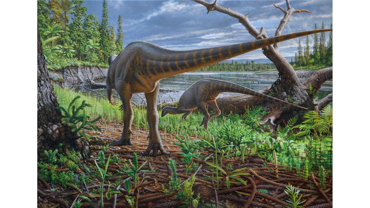 An artist's impression of Diluvicursor pickeringi foraging on the bank of a river in the Australian-Antarctic rift valley.