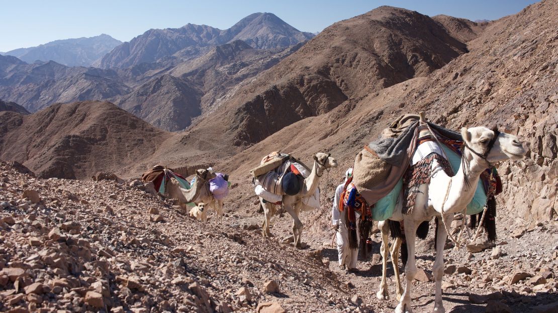 Camels carry gear up a rocky pass.