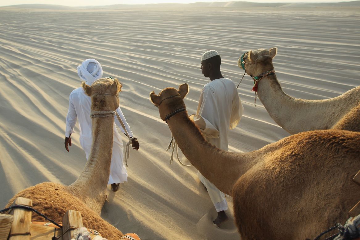 <strong>Ships of the desert: </strong>Camel safaris are the authentic way to experience traditional desert life in Qatar.