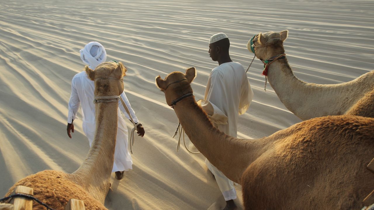 Camel safaris offer a glimpse of traditional life aboard the "ships of the desert."