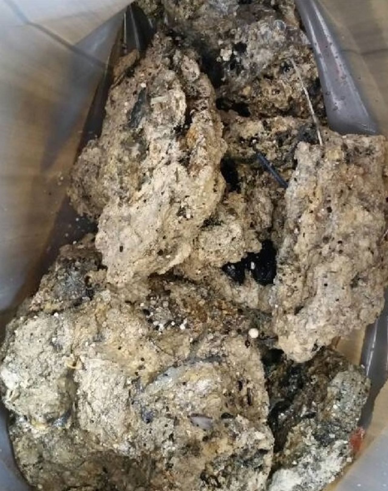 The fatberg, a congealed lump of grease, fat and non-flushable items such as wet wipes and condoms, sticks to sewer walls and can become as hard as concrete.