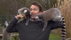 Reporter mobbed by lemurs orig newsource_00000000.jpg