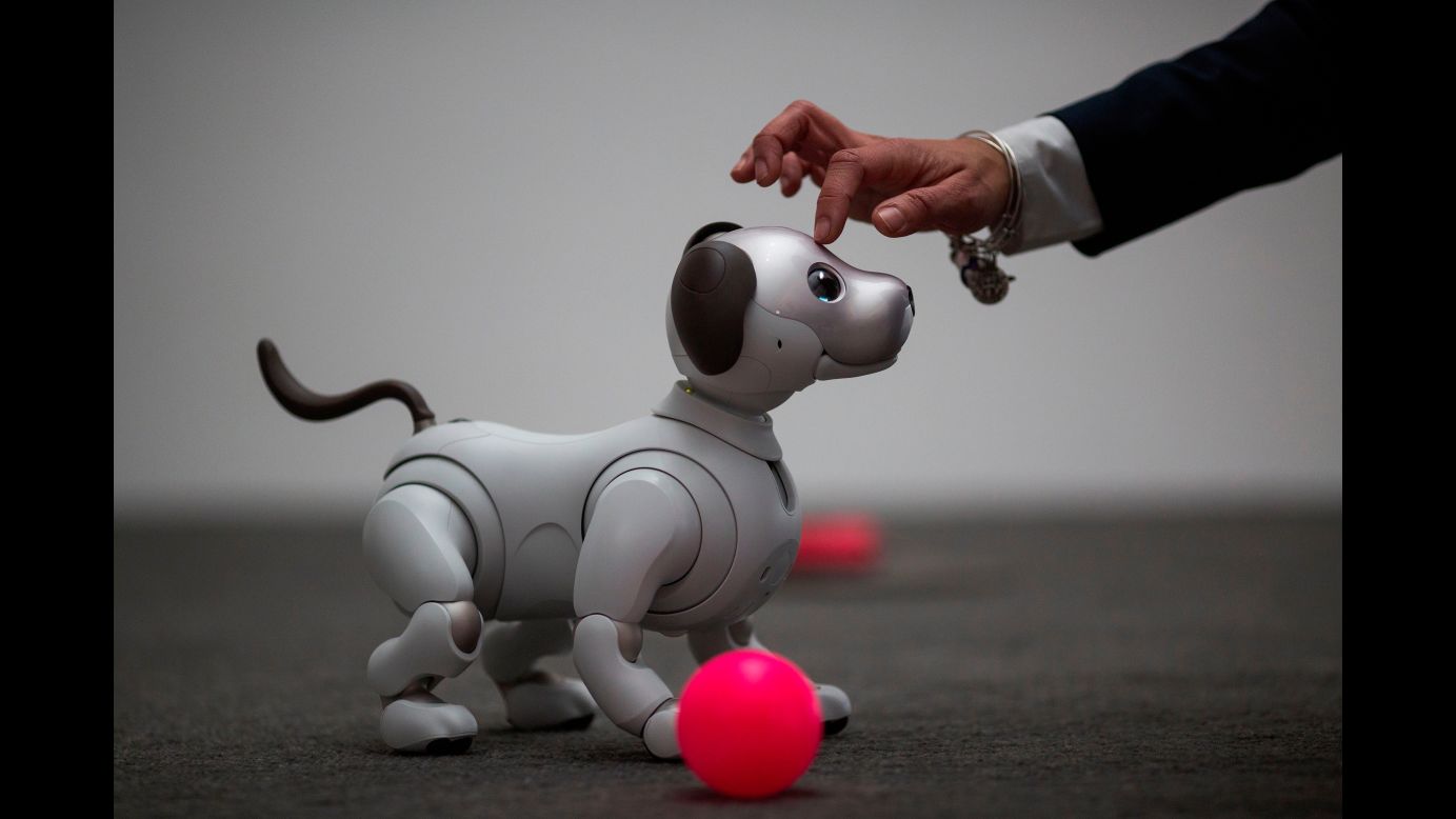 The newest generation of <a href="http://money.cnn.com/2018/01/10/technology/sony-aibo-robot-dog-ces-2018/index.html" target="_blank">Sony's robotic dog Aibo</a> is demonstrated on the eve of CES, the annual electronics show in Las Vegas, on Monday, January 8.