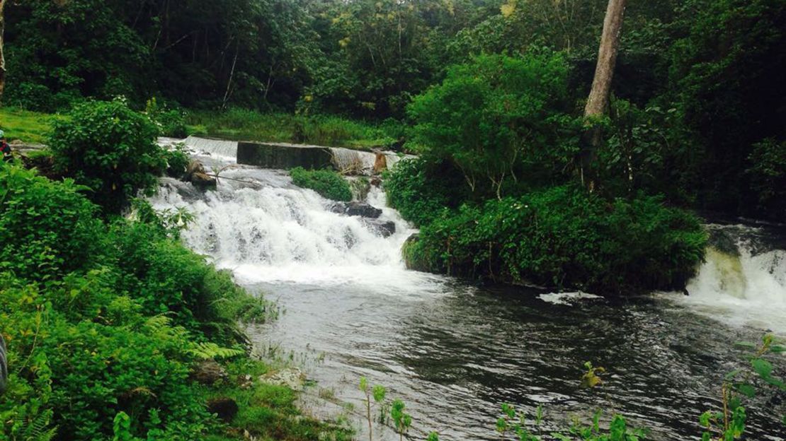 Maria Kipkemoi calls Aberdare National Park her favorite place in Kenya.