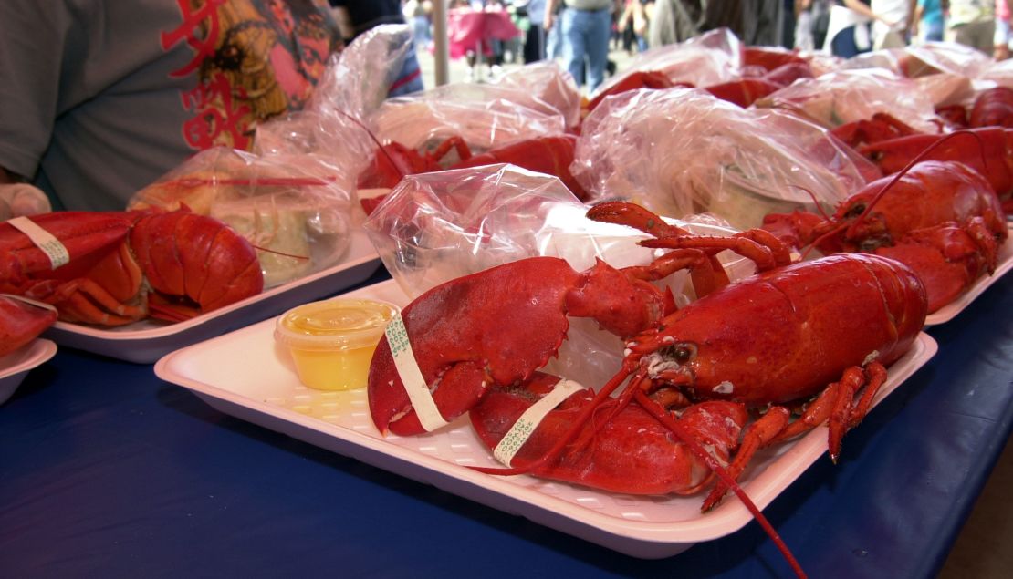 Scientists say lobsters have advanced nervous systems.