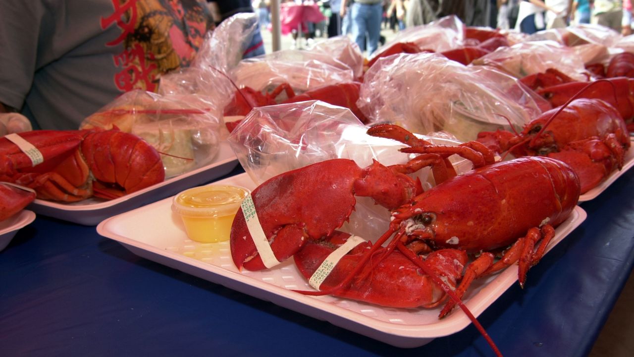 Scientists say lobsters have advanced nervous systems.