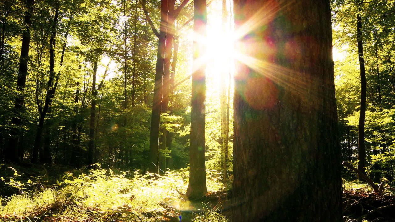 CNN Eco Solutions: Renewables on the Rise Isa Soares_00000814.jpg