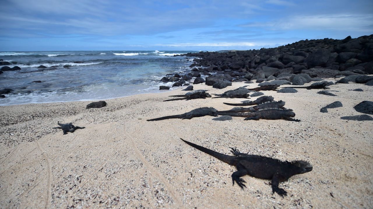 The Galápagos Islands have tightened travel regulations in a bid to preserve the natural habitat.