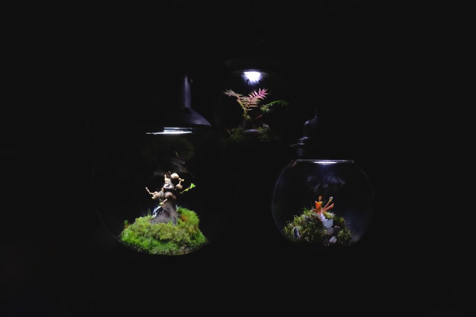 Murase's terrariums can be found in cafes, restaurants and schools across Japan.