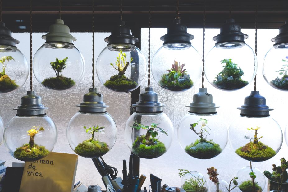 At Re:Planter, Murase's home and atelier, nearly two dozen terrariums of various sizes hang from the ceiling. Inside each glass orb he has curated a miniaturized and manicured landscape.