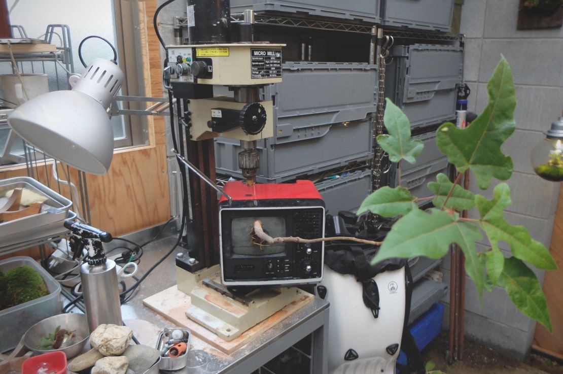 Murase takes inspiration -- as well as materials -- from unlikely places. His studio is home to several TV monitors with plants sprouting through the screens.