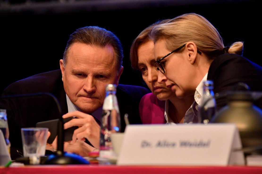 Co-leaders of the AfD's parliamentary group Joerg Meuthen (L) and Alice Weidel (R) will likely be pleased about the prospect of a new grand coalition.