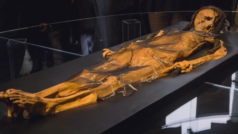 A reconstruction of Lady Cao's skeleton.