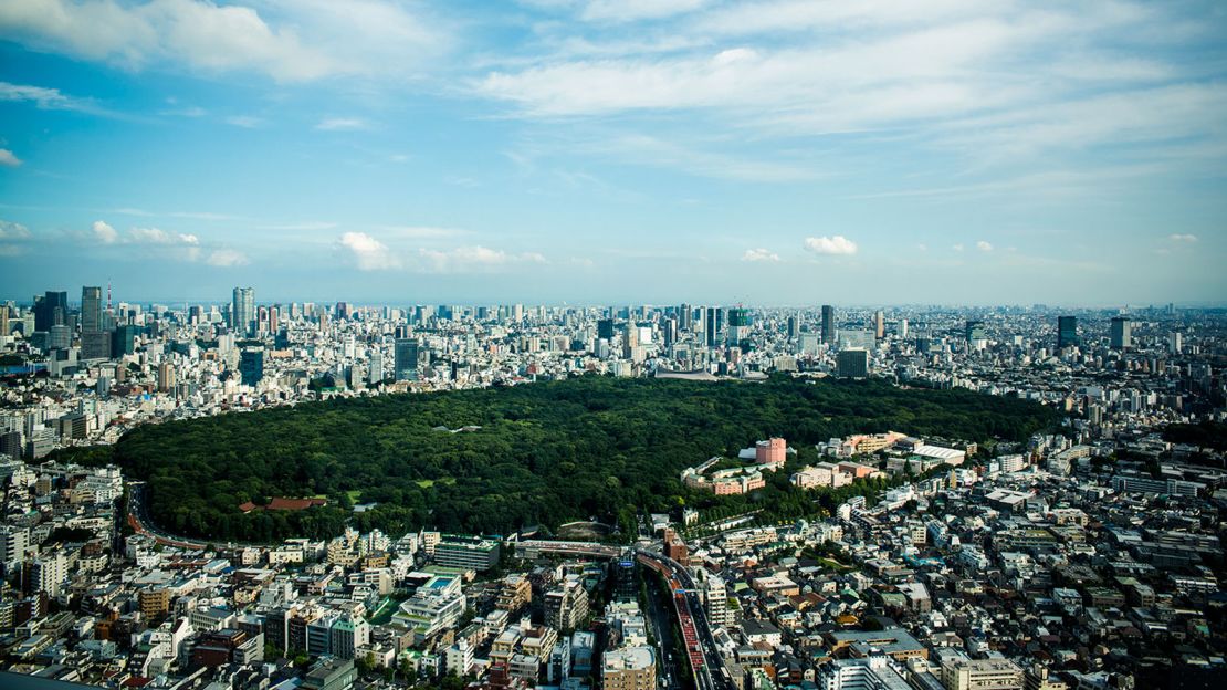 Forest bathing requires a forest, or at least some trees. Tokyo's Yoyogi Park is ideal.