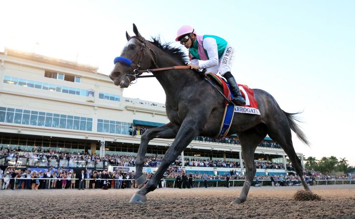 Arrogate -- named <a href="index.php?page=&url=http%3A%2F%2Fedition.cnn.com%2F2017%2F01%2F24%2Fsport%2Farrogate-longines-worlds-best-racehorse-2016%2Findex.html">World's Best Racehorse in 2016</a> -- beat California Chrome in a classic final duel to win the inaugural 2017 Pegasus World Cup, then worth $12 million in total. 