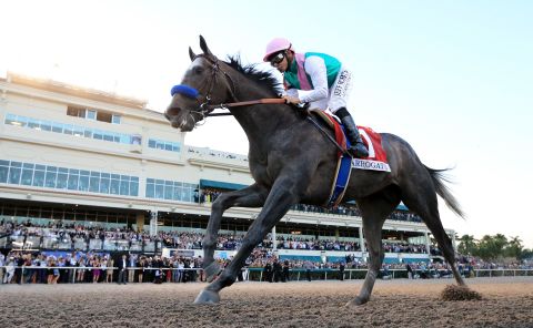 Arrogate -- named <a href="http://edition.cnn.com/2017/01/24/sport/arrogate-longines-worlds-best-racehorse-2016/index.html">World's Best Racehorse in 2016</a> -- beat California Chrome in a classic final duel to win the inaugural 2017 Pegasus World Cup, then worth $12 million in total. 
