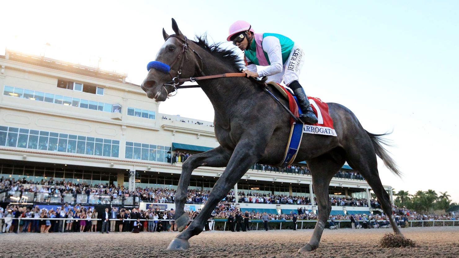 Arrogate won the Pegasus World Cup and Dubai World Cup in 2017 to crown a glittering career. 