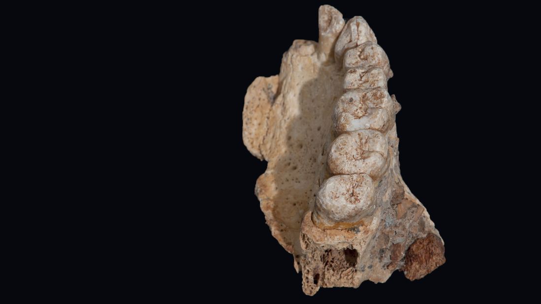 The earliest modern human fossil ever found outside of Africa has been recovered in Israel. This suggests that modern humans left Africa at least 50,000 years earlier than previously believed. The upper jawbone, including several teeth, was recovered in a prehistoric cave site.