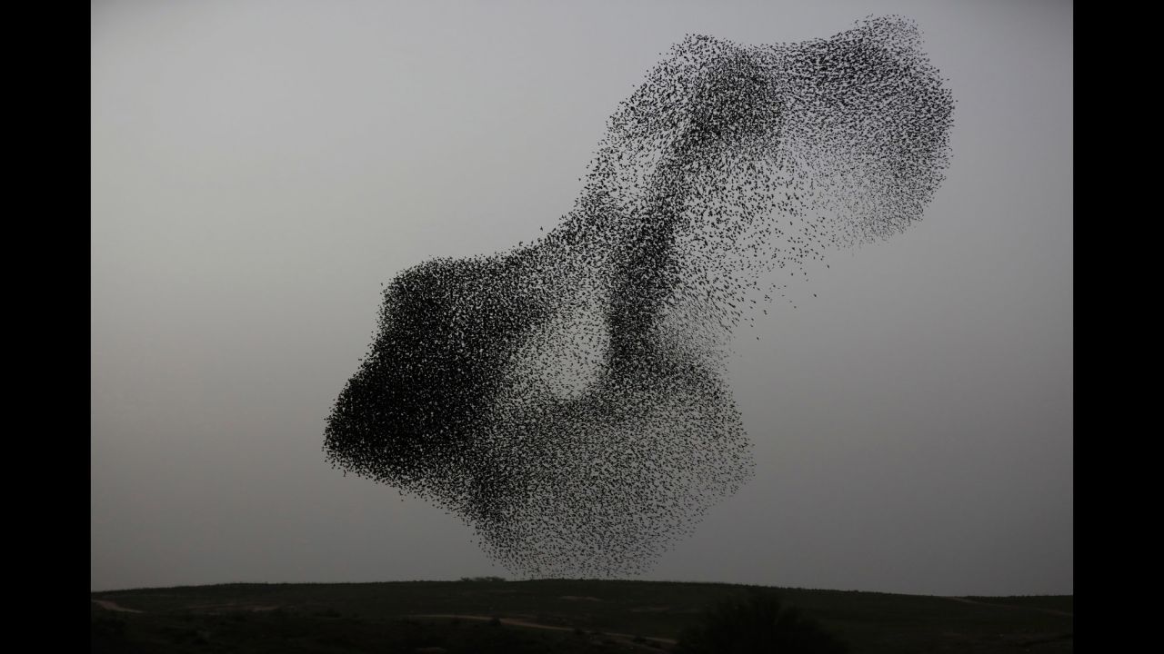 A murmuration of starlings is seen in the southern Israeli city of Rahat, in the Negev desert region, on Monday, January 22. <a href="http://www.cnn.com/2018/01/19/world/gallery/week-in-photos-0119/index.html" target="_blank">See last week in 24 photos</a>