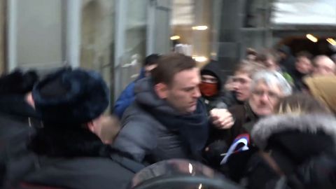 Alexei Navalny is arrested at a rally in January 2019.