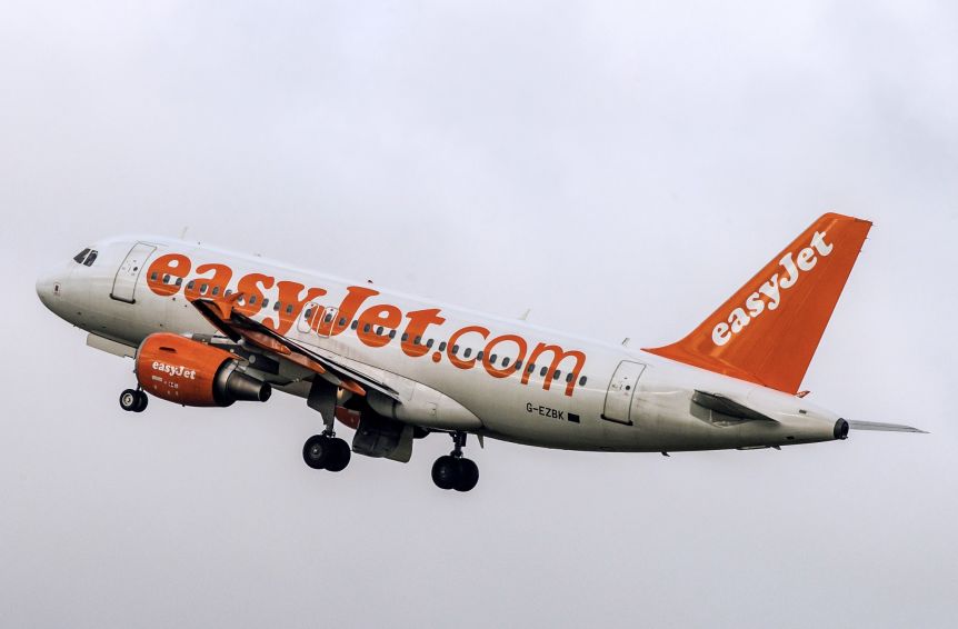 can you take a dog on a plane easyjet