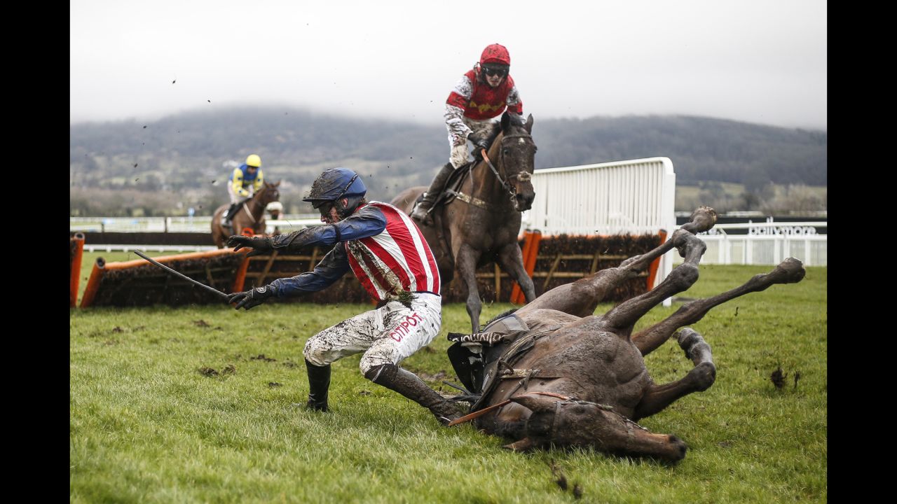Nick Scholfield falls off his horse, De Rasher Counter, during a hurdles race in Cheltenham, England, on Saturday, January 27.
