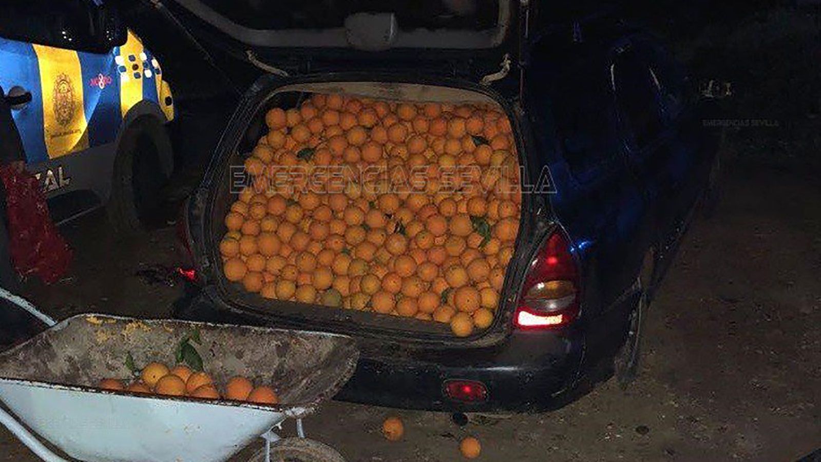 02 spain oranges arrest