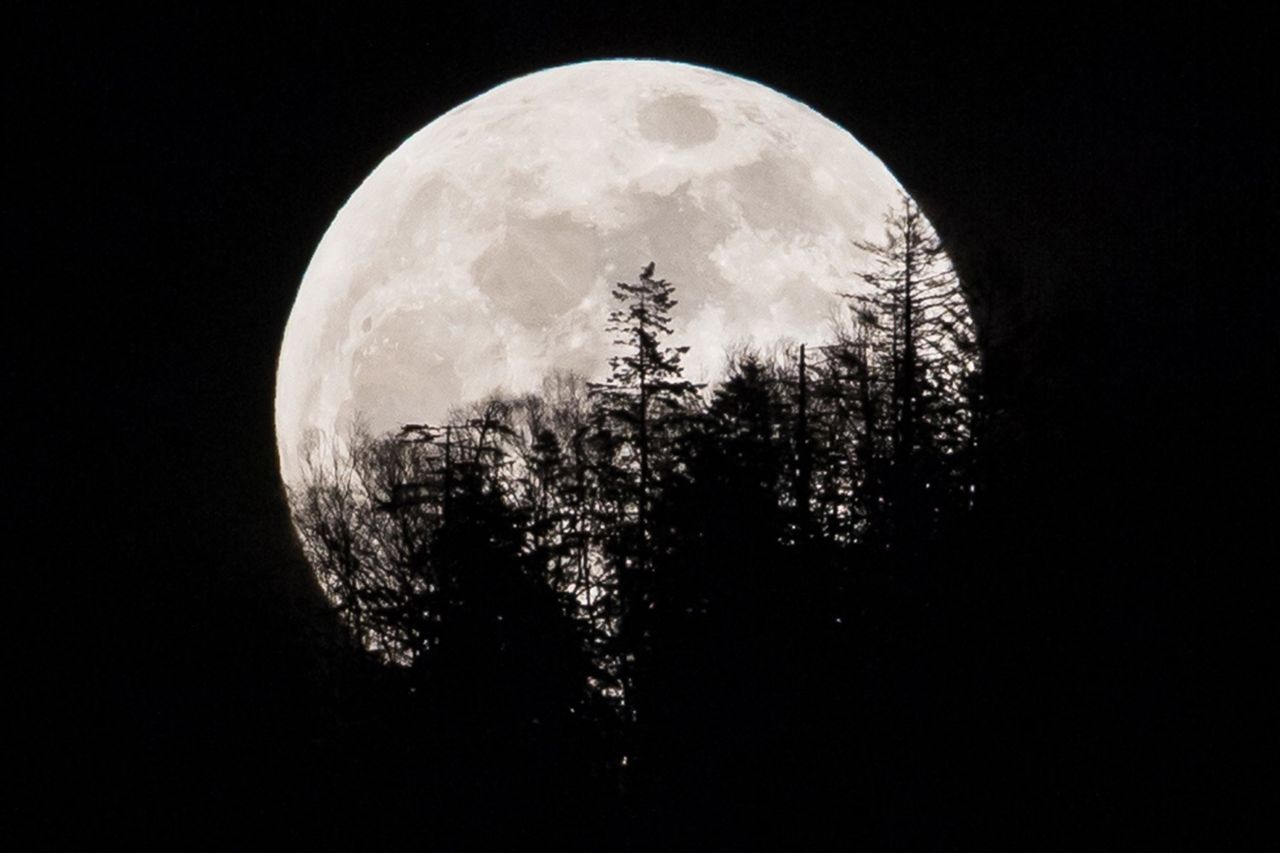 The supermoon is seen over trees in Yuzhno-Sakhalinsk on Sakhalin Island in Russia's Far East.