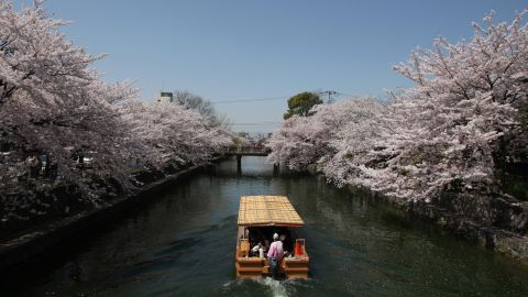 Cherry blossoms could be your reward if you travel to Kyoto in April.