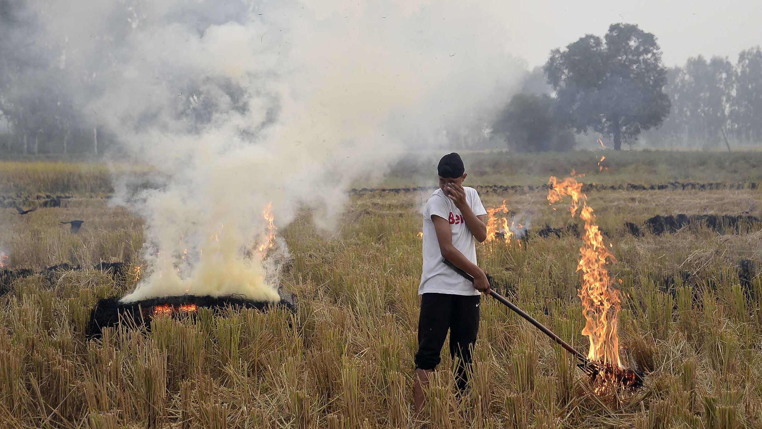 An Indian farmer burns paddy stubble in a field on the outskirts of Jalandhar. Cooler winter air traps particulates close to the ground, preventing them from dispersing.