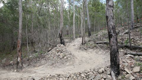 A year-long project throughout 2016 helped revamp the trails and facilities of the Nerang National Park in preparation for the mountain bike competition. <br />