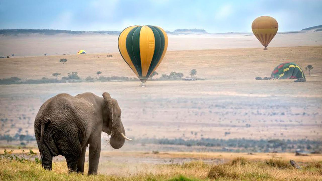 <strong>A balloon with a view in Kenya: </strong> Floating silently for 45 minutes, guests are likely to observe an extraordinary diversity of wildlife before landing. They'll then be offered a full English breakfast and a glass of champagne.