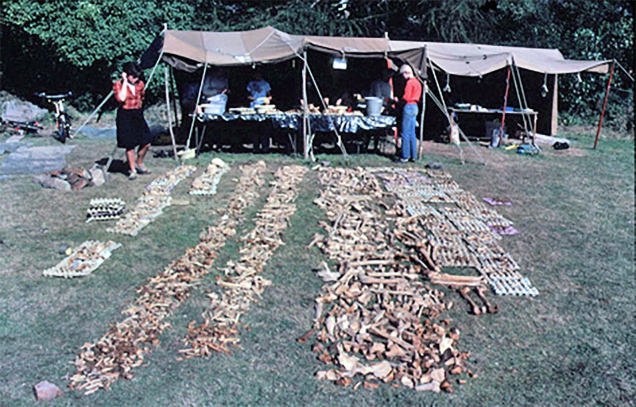 The Repton site in Derbyshire was first excavated in the 1980s. This photo, from that excavation, shows bones uncovered in the charnel by Martin Biddle and Birthe Kjolbye-Biddle.