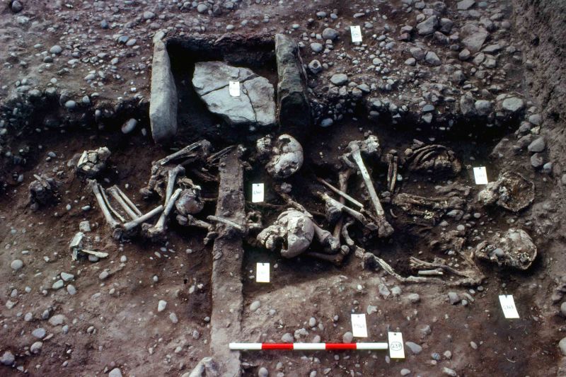 Rare find Mass grave may belong to Viking Great Army