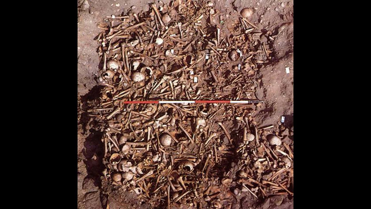 The charnel burial at Repton includes the bones of nearly 300 people. Eighty percent of the remains were male, between the ages of 18 and 45. Many of them bear the marks of violent injury.