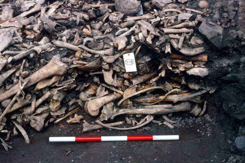 When the bones were radiocarbon dated initially, the amount of fish ingested by the Vikings threw off the dating and suggested different time periods. New calibrations have confirmed that they are all from the same time period in the ninth century.