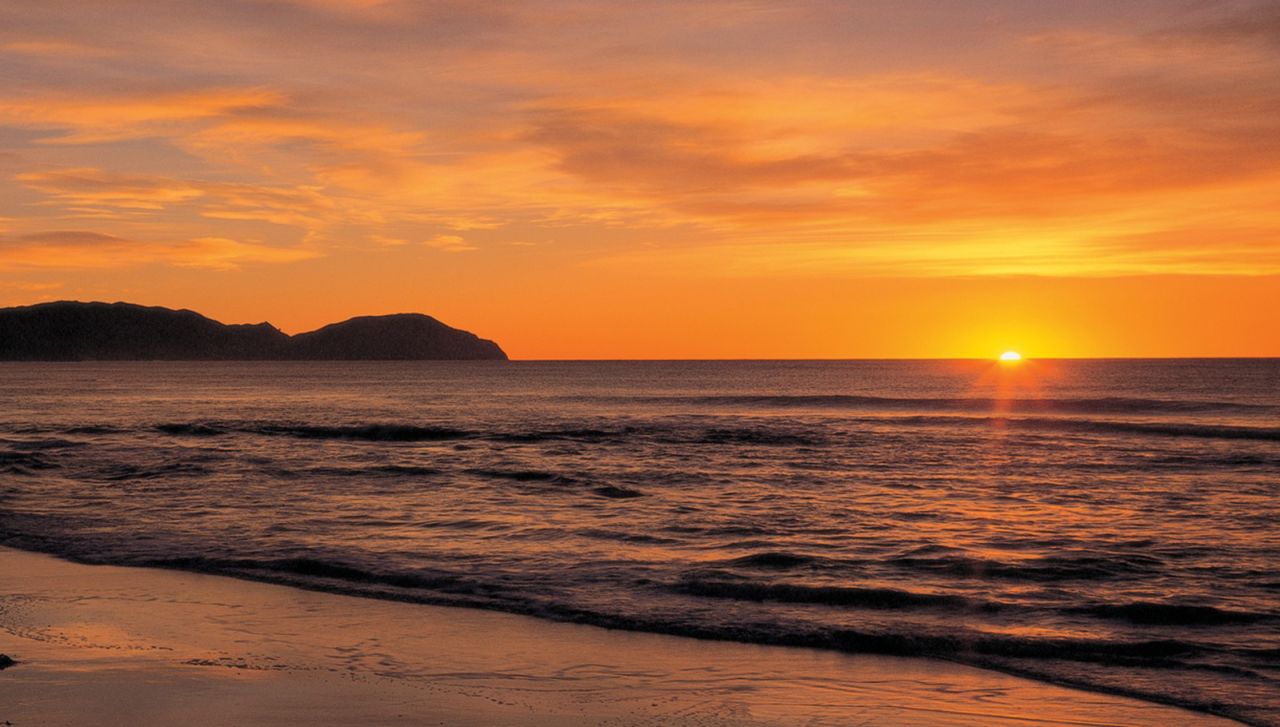 <strong>Wainui Beach, Gisborne:</strong> Famed for its waves and golden sand, Wainui Beach is also the site of a sperm whale grave, where 59 whales were buried after beaching themselves here back in 1970.