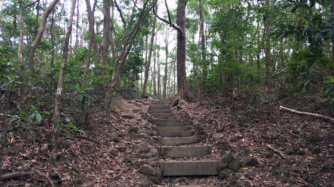 <strong>Hiking Tai Mo Shan: </strong>The hike up Tai Mo Shan is pretty flat and well maintained. Keen hikers can tackle the more challenging 9.7-kilometer route from Lead Mine Pass to Route Twisk, or Stage 8 of MacLehose Trail. 